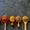 Testing Alt