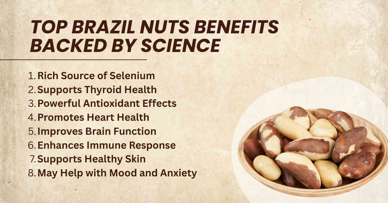 Brazil Nuts Benefits
