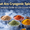 What Are Cryogenic Spices