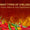 Different Types of Chillies in India
